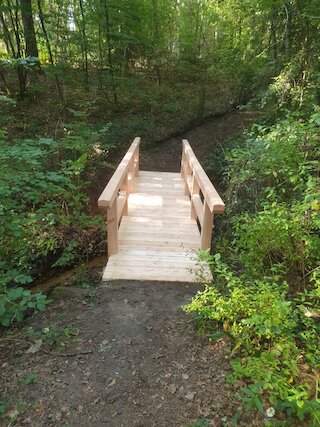 Kleine Holzbrücke mit beidseitigem Geländer auf einem Waldweg